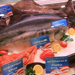 20-я Международная выставка продуктов питания и напитков World Food Moscow 2011