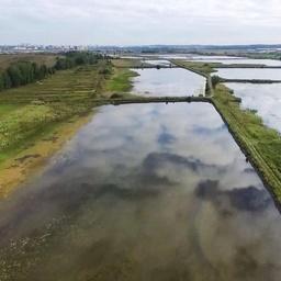 Водоемы Зеленоборского рыбопитомника. Фото пресс-службы Главрыбвода