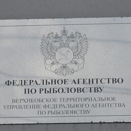 Торги организует Верхнеобское теруправление Росрыболовства