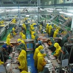 КПД на производстве и уровень дисциплины в студенческих коллективах значительно выше, чем у обычных сезонных работников. Фото – ПРО МООО «РСО».