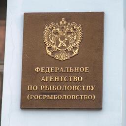 Росрыболовство планировало аукцион по продаже долей квот палтусов на 14 и 15 мая
