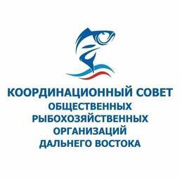 Проблематику регулирования производственного контроля обсудили на заседании Координационного совета рыбохозяйственных ассоциаций Дальнего Востока