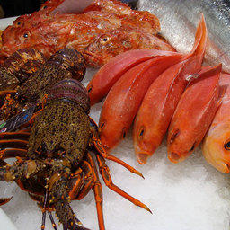 The European Seafood Exposition, Брюссель, май 2011 г. 