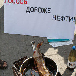 Лосось для всех и навсегда