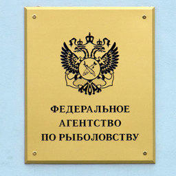 Добытчики краба обратились в Росрыболовство