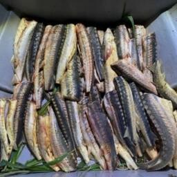 В Астраханской области трое местных жителей признаны виновными в незаконном обороте ценных водных биоресурсов
