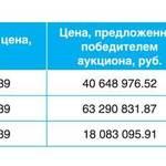 По результатам аукциона было получено 255 млн. руб. Всю прибыль аукциона принесла продажа трех лотов