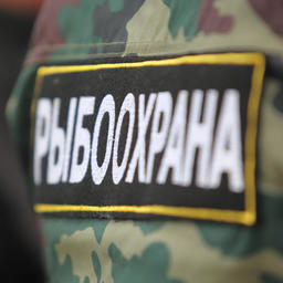 Рыбинспекторы будут проверять регистрацию сетей прямо на водоеме