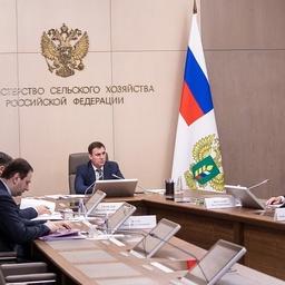 Межведомственный совет по организации лососевой путины провел министр сельского хозяйства РФ Дмитрий ПАТРУШЕВ. Фото пресс-службы Минсельхоза