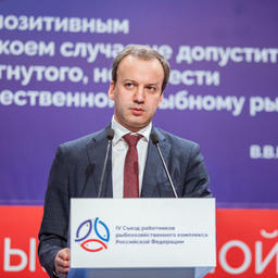 Вице-премьер Аркадий ДВОРКОВИЧ