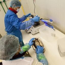 Россельхознадзор разъяснил, как указывать в системе «Меркурий» массу таких товаров, как рыба в рассоле