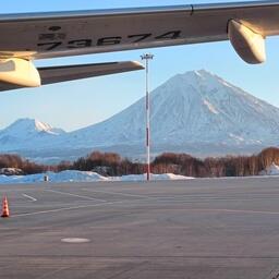 Покидая Камчатку, авиапассажиры могут брать с собой в багаже или ручной клади не больше 10 кг продукции без маркировки на человека