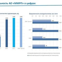 Судозаходы и загруженность холодильников Мурманского морского рыбного порта