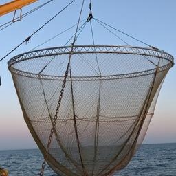 Ученые протестировали новое экспериментальное орудие лова – бортовой подхват с дюралюминиевым обручем диаметром 6 м. Фото пресс-службы КаспНИРХ