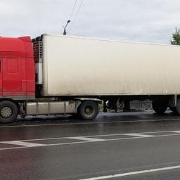 Икра ехала в грузовике-рефрижераторе среди другой рыбопродукции. Фото пресс-службы Россельхознадзора