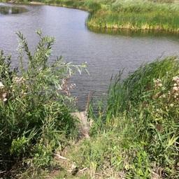 Трагедия произошла на берегу пруда Осиновского. Фото пресс-службы Следственного управления СК России по Саратовской области