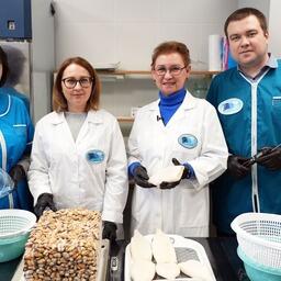 Ученые ВНИРО начали эксперимент по установлению погрешностей определения массовой доли глазури в продукции из водных биоресурсов. Фото пресс-службы института