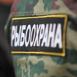 Плановые проверки готовятся исключить из арсенала рыбоохраны