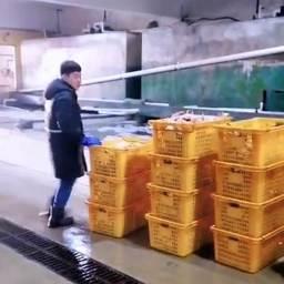 Покупатели показывают видео с гибелью краба
