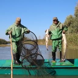 Весенняя путина в регионе. Фото пресс-службы администрации губернатора Астраханской области