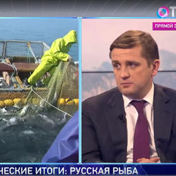 Об итогах лососевой путины глава Федерального агентства по рыболовству Илья ШЕСТАКОВ рассказал в эфире Общественного телевидения России. Скриншот видео ОТР
