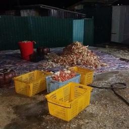 Пограничники обнаружили нелегальное производство крабовой продукции в поселке Зарубино. Фото пресс-группы Погрануправления ФСБ России по Приморскому краю
