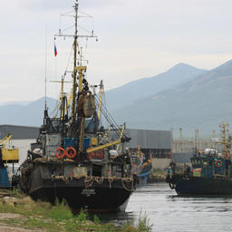 «Прибрежка» на распутье