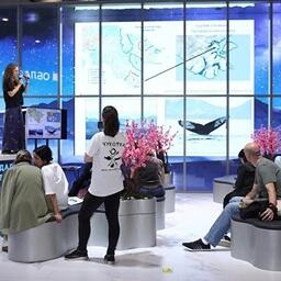 На ВДНХ представили новый каталог горбатых китов Чукотки. Фото пресс-службы нацпарка «Берингия», park-beringia.ru