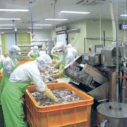 Производство морепродуктов в Южной Корее