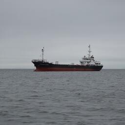 Проверка затронет около 500 компаний морского и внутреннего водного транспорта, эксплуатирующих суда танкерного флота