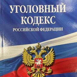 Фигуранты признаны виновными по части 3 статьи 258.1 УК РФ (незаконная добыча особо ценных водных биологических ресурсов группой лиц по предварительному сговору)