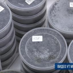 Изъятый деликатес. Кадр оперативной съемки