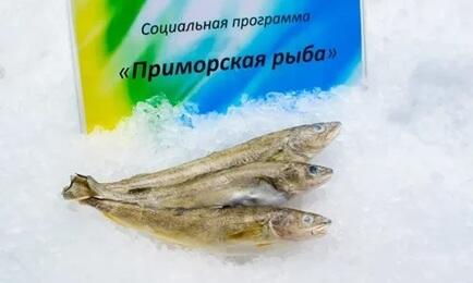 В рамках программы «Приморская рыба» на прилавки торговых сетей увеличивают поставки свежих минтаевых уловов по социальной цене. Фото пресс-службы АДМ