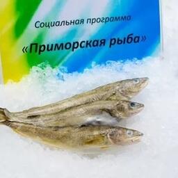 В рамках программы «Приморская рыба» на прилавки торговых сетей увеличивают поставки свежих минтаевых уловов по социальной цене. Фото пресс-службы АДМ