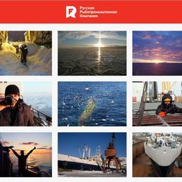 Конкурсные фотографии выложены на специальном сайте - www.photowinner.ru