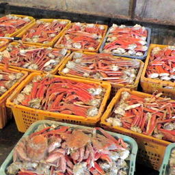 Изъято свыше 1,3 тонн крабовой продукции. Фото пресс-группы Погрануправления ФСБ России по Приморскому краю