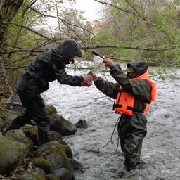 Ученые исследуют влияние гидроэнергетики на водные экосистемы. Фото пресс-службы ВНИРО