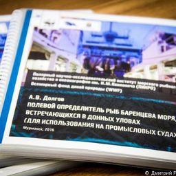 WWF России выпустил «Полевой определитель рыб Баренцева моря». Фото пресс-службы природоохранной организации