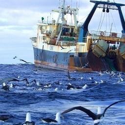 Эксперты Востокгосплана при анализе Стратегии развития рыбохозяйственного комплекса выявили ряд препятствий для развития отрасли. Фото пресс-службы учреждения