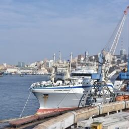 В 2023 году через причалы Владморрыбпорта прошло более 65 тыс. тонн красной рыбы с Камчатки, Сахалина и других регионов Дальнего Востока