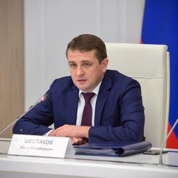 Заместитель министра сельского хозяйства - руководитель Росрыболовства Илья ШЕСТАКОВ на оперативном совещании. Фото пресс-службы ведомства