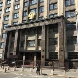 Госдума приняла в первом чтении законопроект, ограничивающий иностранное участие в рыбодобывающих компаниях до 25%