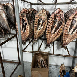 Готовая рыбная продукция без маркировки. Фото пресс-службы ГУ МВД России по Краснодарскому краю