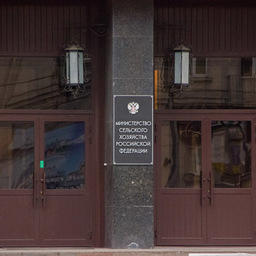 Какие проекты подготовлены в рамках закона о ветеринарии