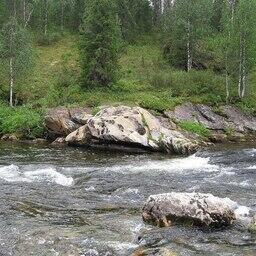 Река Щекурья. Фото ugraland («Википедия»). CC BY 2.0
