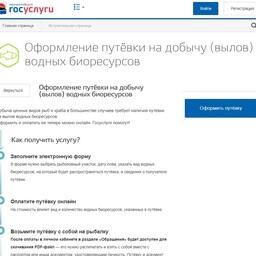 На Камчатке более 3,5 тыс. лицензий на любительский вылов рыбы оформлено через региональный портал госуслуг