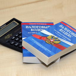 Министерство финансов опубликовало новый вариант законопроекта о включении ряда неналоговых платежей в Налоговый кодекс. Фото с сайта ФНС