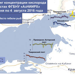 Мониторинг концентрации кислорода на постах ФГБНУ «АзНИИРХ» с 27 июня по 4 августа 2016 г. Изображение пресс-службы учреждения