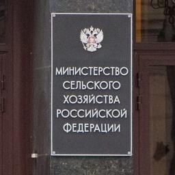 За Минсельхозом собираются закрепить новые функции в сфере племенного животноводства