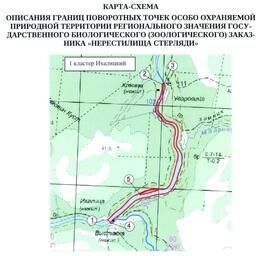 Вологда зарыбляет свою стерляжью ООПТ